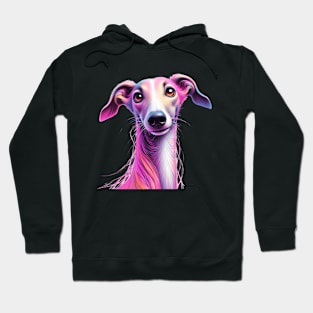 Galgo Greyhound Sighthound Dog Hoodie